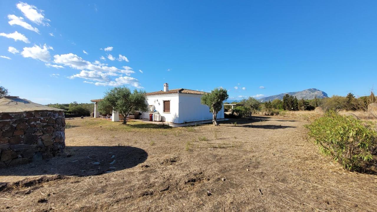 אורוסיי Villa Casa Mate מראה חיצוני תמונה